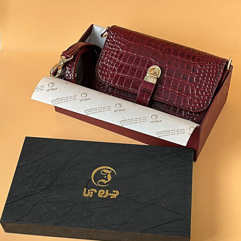 کیف زنانه خانه چرم آنا مدل V-25735 ورنی براق - تصویر 5