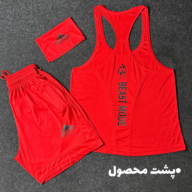 ست ۳ تکه لباس ورزشی مردانه مدل بدنسازی کد ۱۷۶۰ - تصویر 12