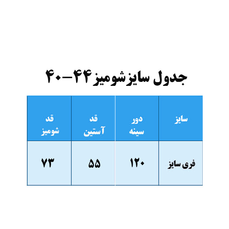 شومیز زنانه راه‌راه آستین بلند یقه برگردان مدل hh4444 - تصویر 4