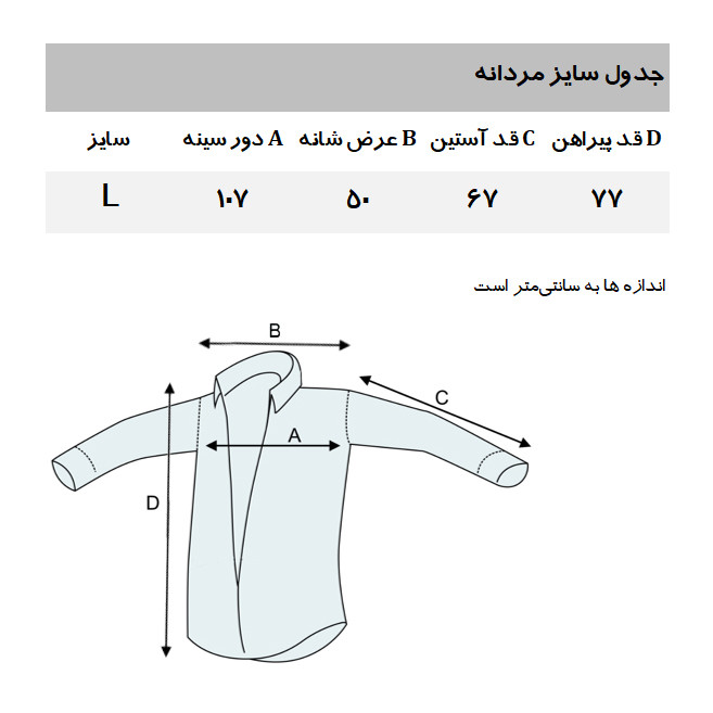 پیراهن مردانه کتان ۱۰۰٪ طبیعی برند کالینز مدل CL4493 یقه برگردان - تصویر 3
