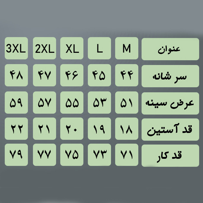 تی‌شرت مردانه مالدینی آستین کوتاه مدل رینگری t-506 - تصویر 6