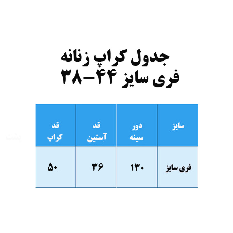بلوز زنانه آستین بلند مدل Am31 - تصویر 3