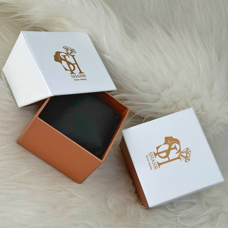 ساعت مچی زنانه نقره ۹۲۵ عیار کد ST1 با موتور ژاپنی - تصویر 4