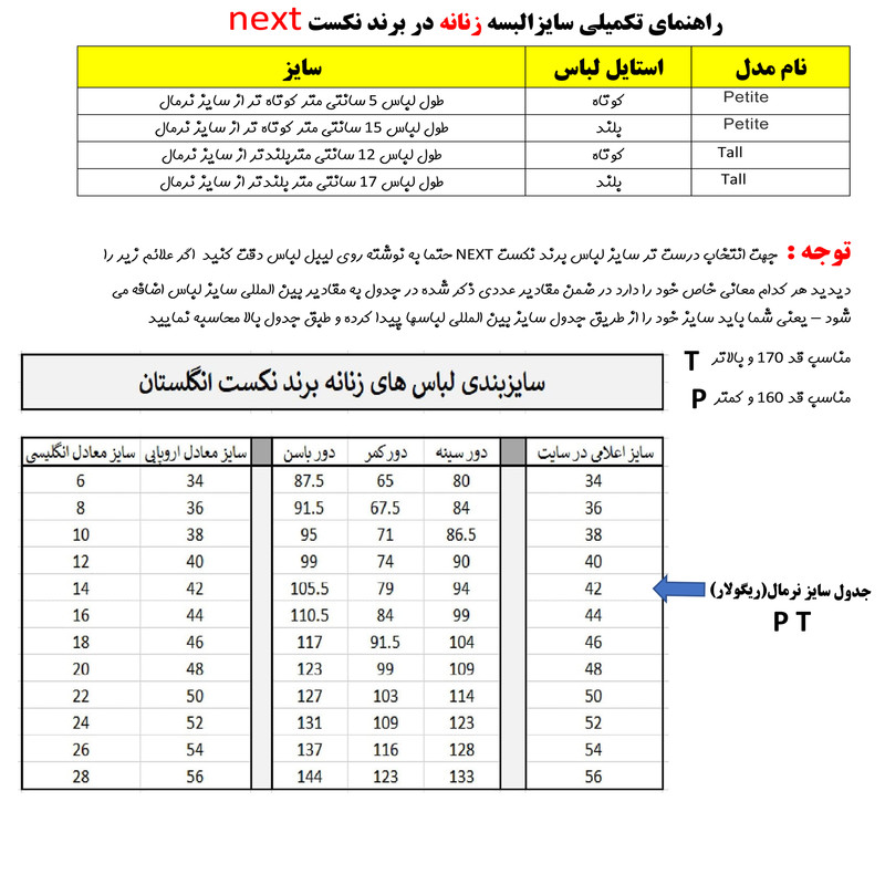 پیراهن ساحلی زنانه نکست مدل DM-971 - تصویر 6