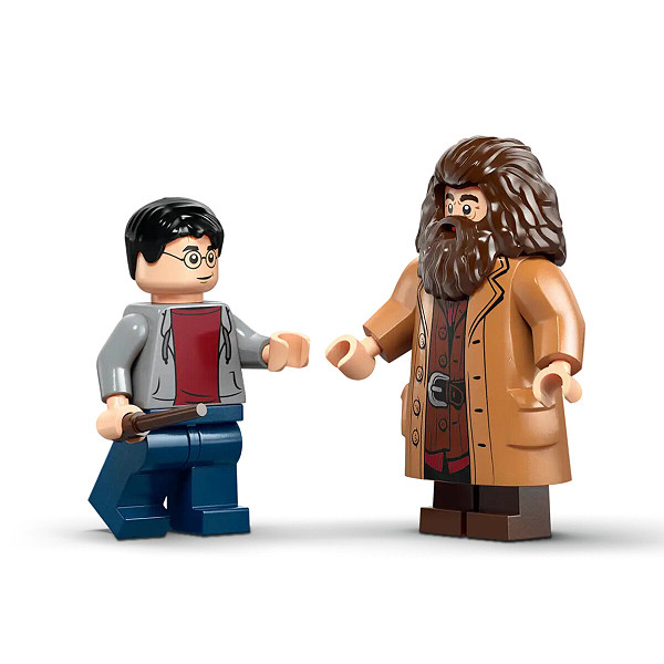 لگو Harry Potter مدل Hagrid & Harry’s Privet Drive Escape - تصویر 4