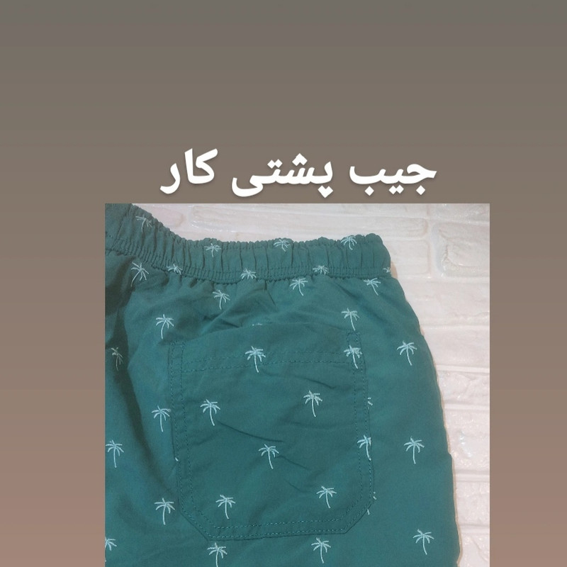 مایو مردانه کیابی ورزشی و شنا مقاوم - تصویر 5