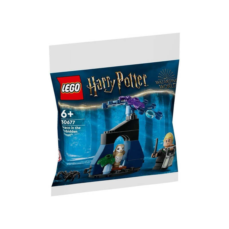 لگو Harry Potter مدل 30677 با حال‌وهوای جادویی