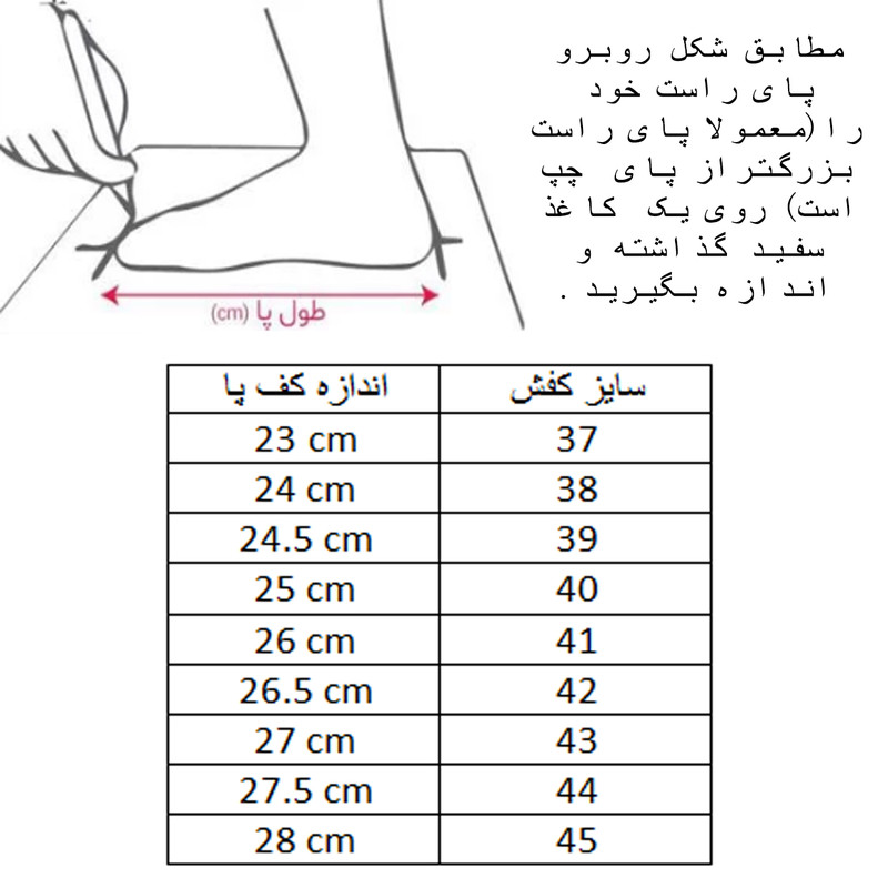 کفش والیبال مردانه C-8104 - تصویر 11