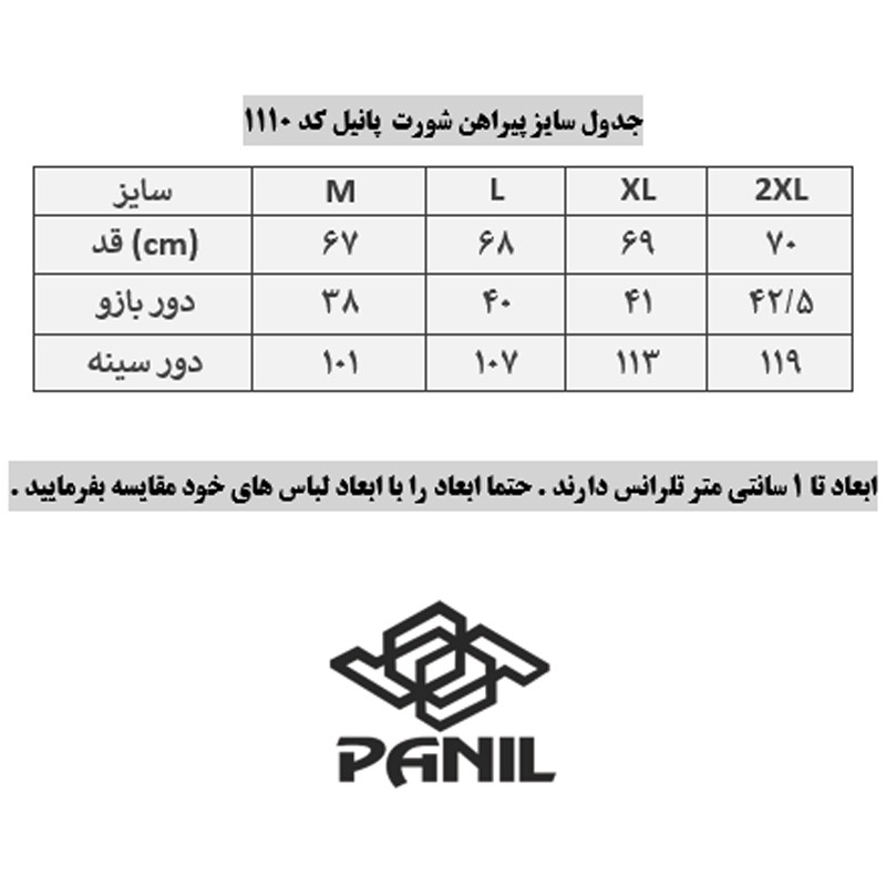 ست تیشرت و شلوارک ورزشی مردانه پانیل 1110Y - تصویر 10