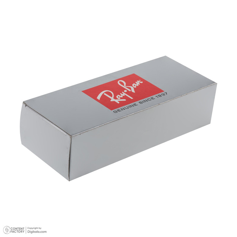 عینک آفتابی ویفرر ری بن مدل RB4396 - تصویر 12